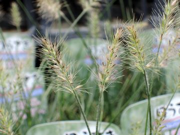 �y�j�Z�^��