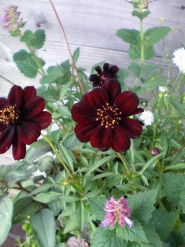 �`���J���J