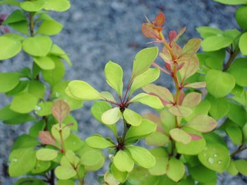 ���M�@�I�[���A