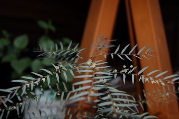 �R�����r�\�E