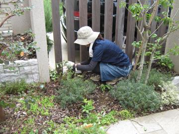 �Γ�����