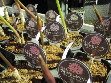 �_�C�������h�����[