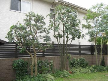 �m�l�����1