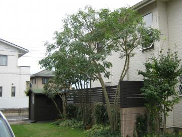 �m�l�����2