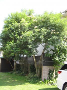 �m�l����O2