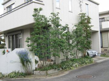 �r�l�����1