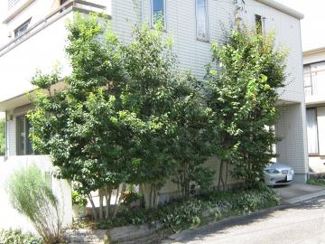 �r�l����O1