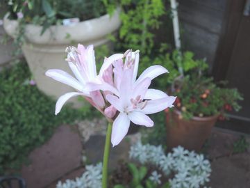 �_�C�������h�����[