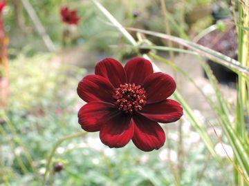 �`���R�R�X