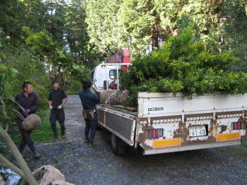 ���ؓ���