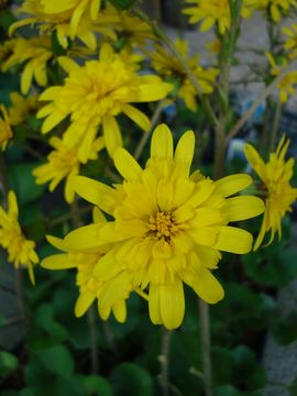 ��Ԃ��@���d�炫