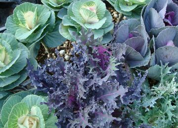 �~�j�n�{�^��