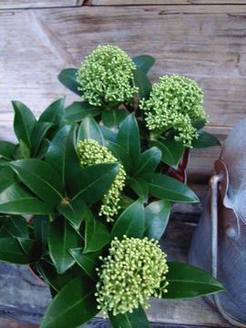 �~���}�V�L�~�@�t���O�����g�N���E�h