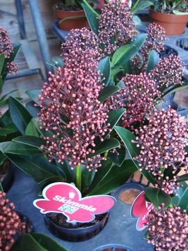 �~���}�V�L�~�@���x��