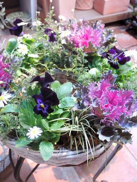 ���[�X�񂹐A��