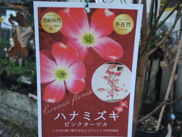 �n�i�~�Y�L