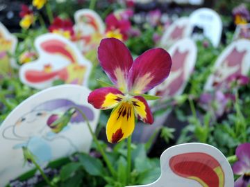 �����r�I��