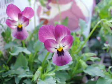 �����r�I��