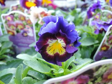 �����r�I��