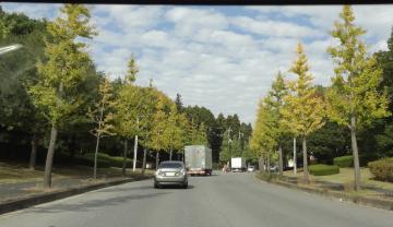 �C�`���E����