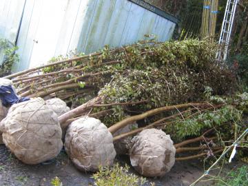 �q���V����