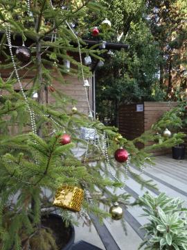 ���N���c���[