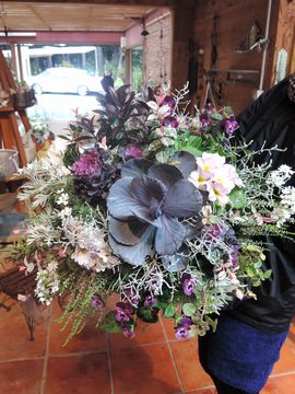 �n���M���O