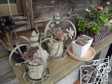 �����񂹐A��