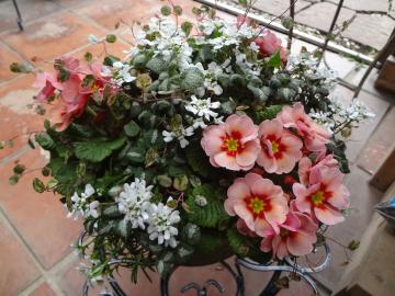 �񂹐A���@�v������