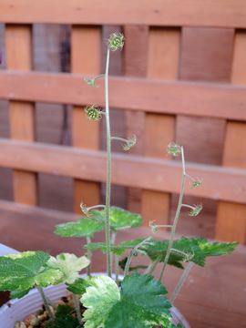 �`���������\�E