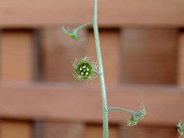 �`���������\�E