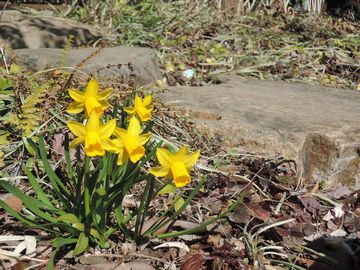 �e�B�^�e�B�^