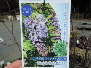 �A���W�X�g�t�H�[��