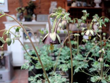 �`���R���[�g�\���W���[