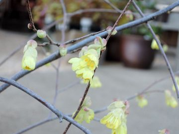 �q���E�K�~�Y�L