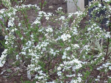 ���L���i�M