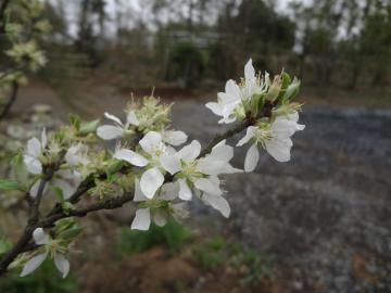 ���X���E��