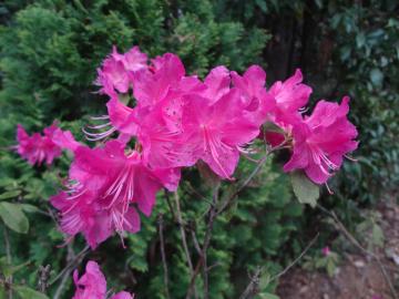 �Q���J�C�c�c�W