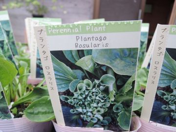 �I�j�I�I�o�R