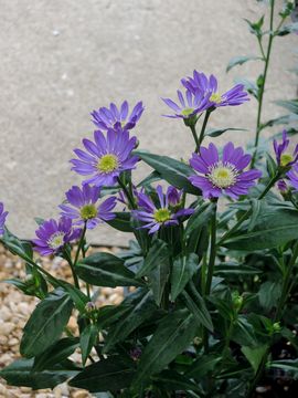 �~���R���X��