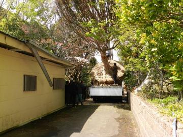 ���ؔ���