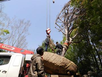 ���b�J�[�݂�