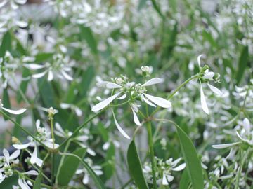 �_�C�������h�t���X�g