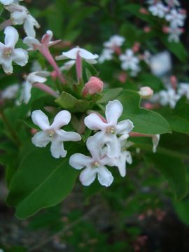 �A�x���A�@���T�l���V�X