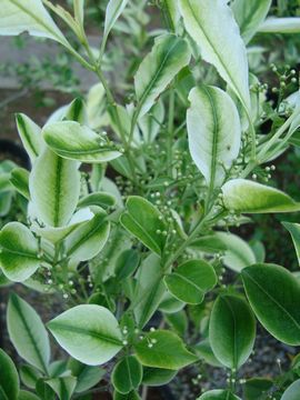 ������@�}���~