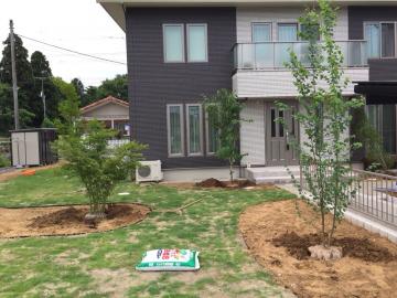 �\���S�E���}�{�E�V