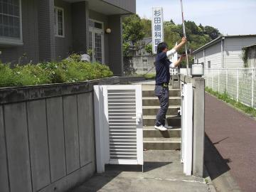 �G�N�X�e���A�{�H�O