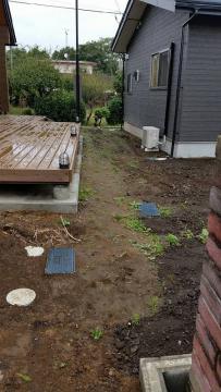 ���E�H��