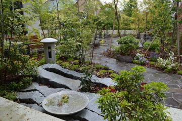 �Ђ����Ȃ��s�O�\�E�G�N�X�e���A