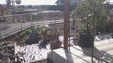 GNXeArtH[